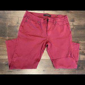 Liverpool Maroon Cropped Stretch Pants - petite